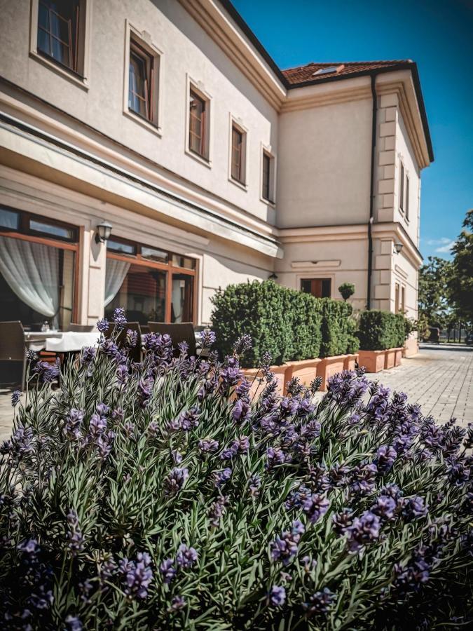 Restaurant Pansion Wien Cierny Brod ภายนอก รูปภาพ